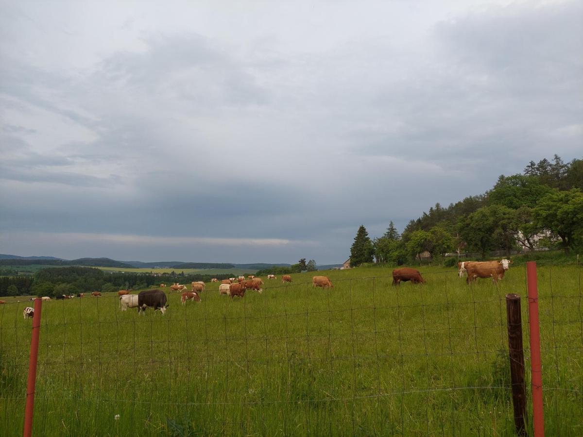 Příbram Panorama House Brdy 빌라 외부 사진
