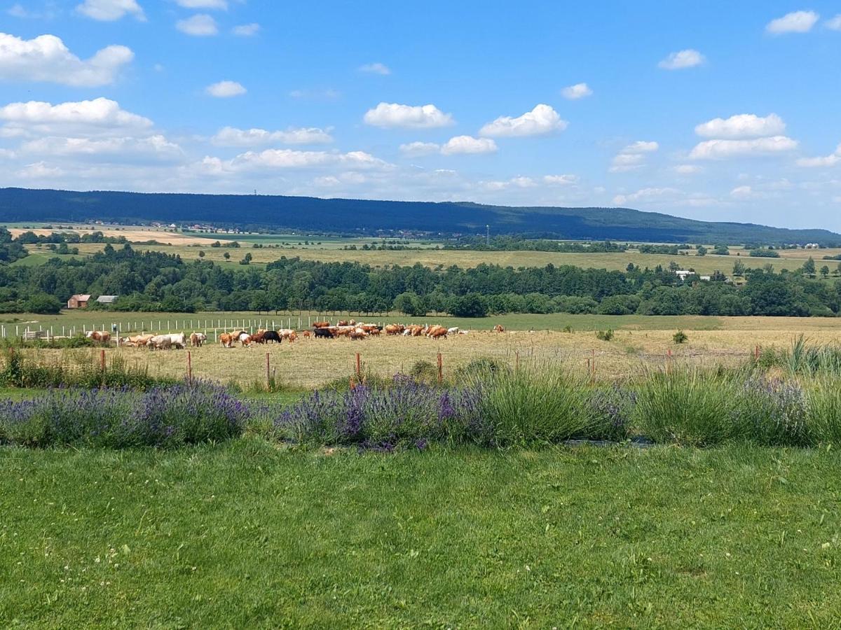 Příbram Panorama House Brdy 빌라 외부 사진