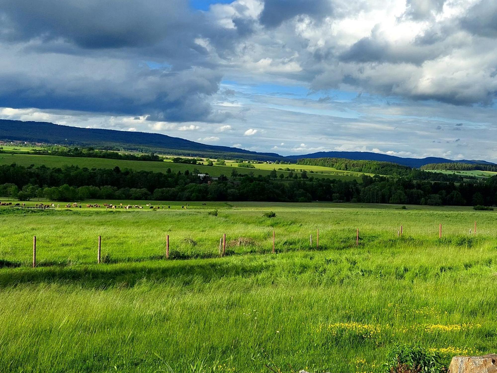 Příbram Panorama House Brdy 빌라 외부 사진